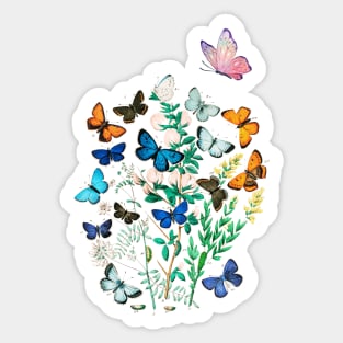 Butterfly and flowers Sticker